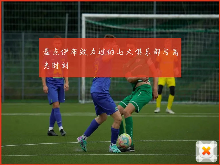 盘点伊布效力过的七大俱乐部与高光时刻